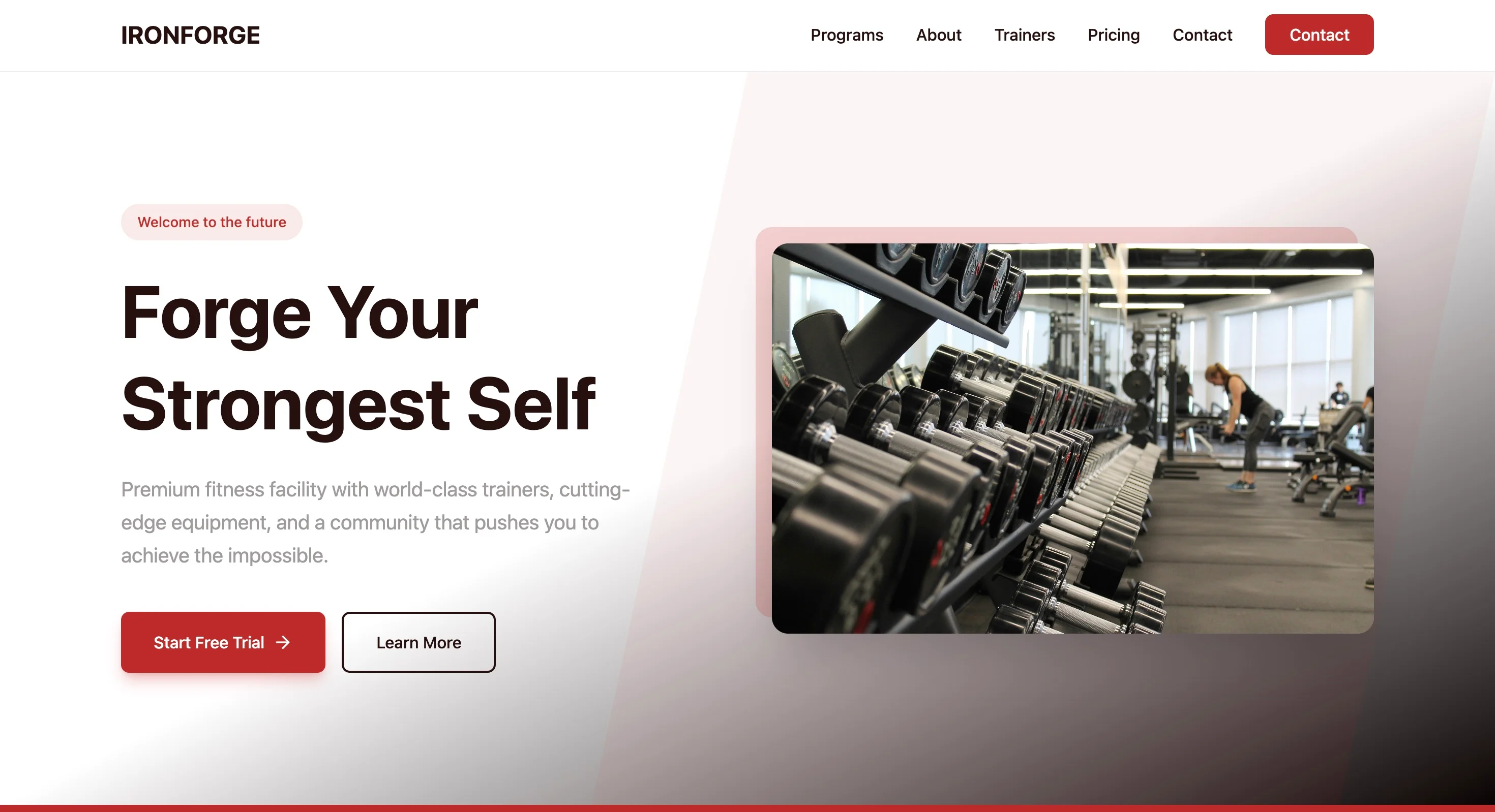 Modern Red Design Preview